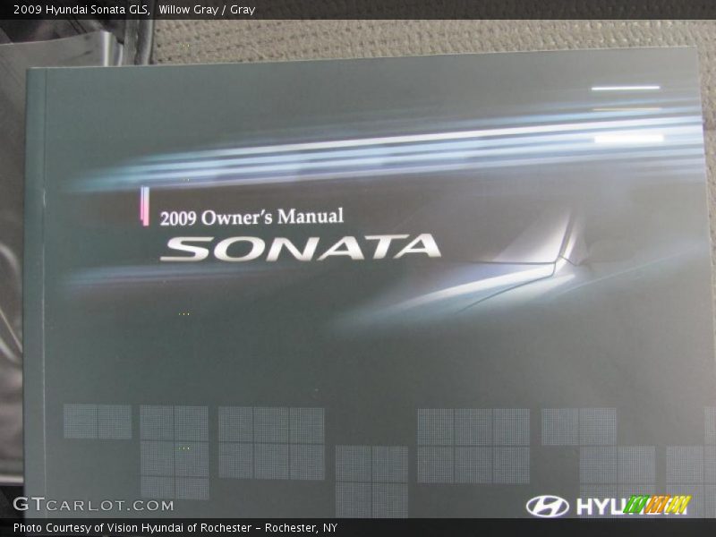 Willow Gray / Gray 2009 Hyundai Sonata GLS