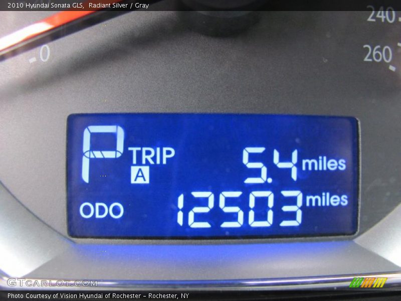 Radiant Silver / Gray 2010 Hyundai Sonata GLS