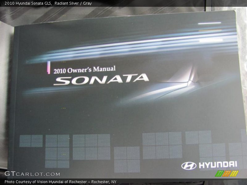 Radiant Silver / Gray 2010 Hyundai Sonata GLS