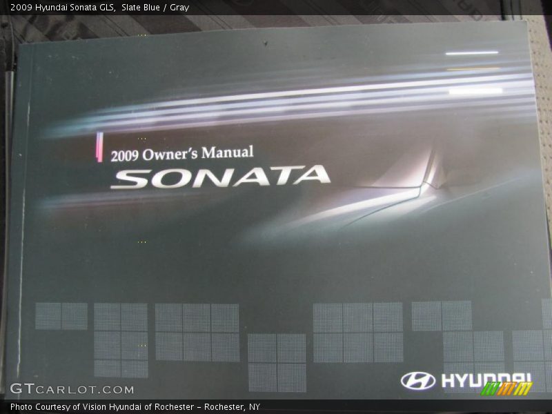 Slate Blue / Gray 2009 Hyundai Sonata GLS