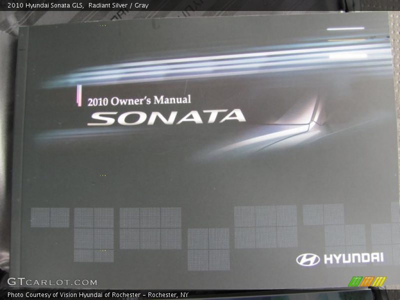 Radiant Silver / Gray 2010 Hyundai Sonata GLS