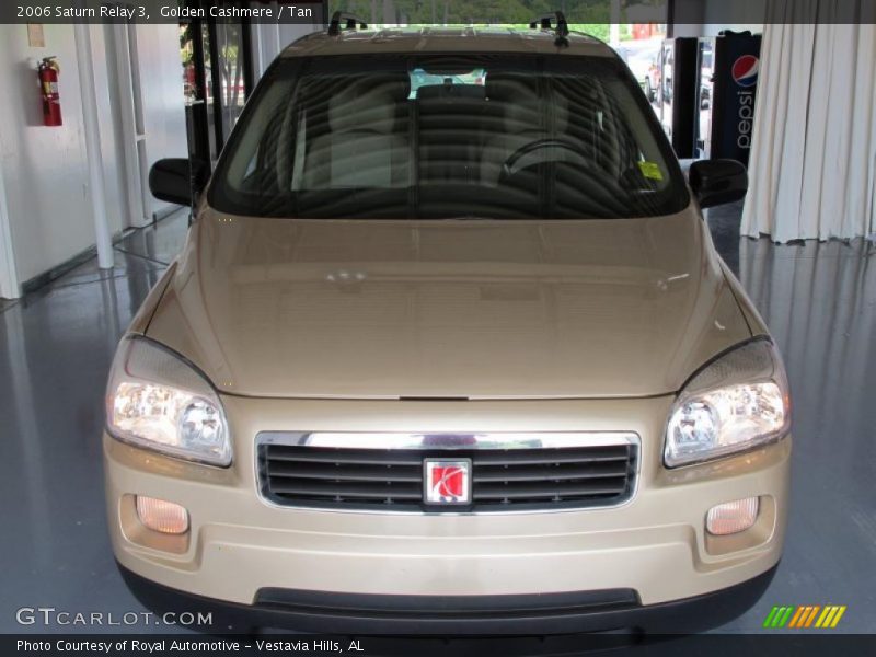 Golden Cashmere / Tan 2006 Saturn Relay 3