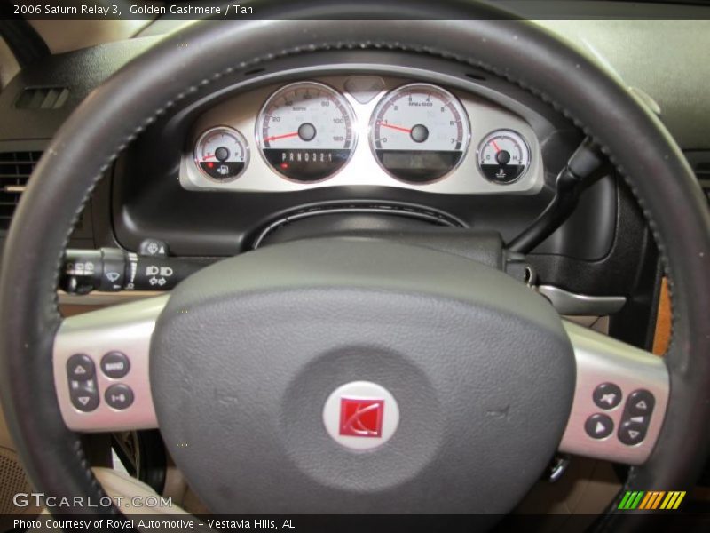 Golden Cashmere / Tan 2006 Saturn Relay 3