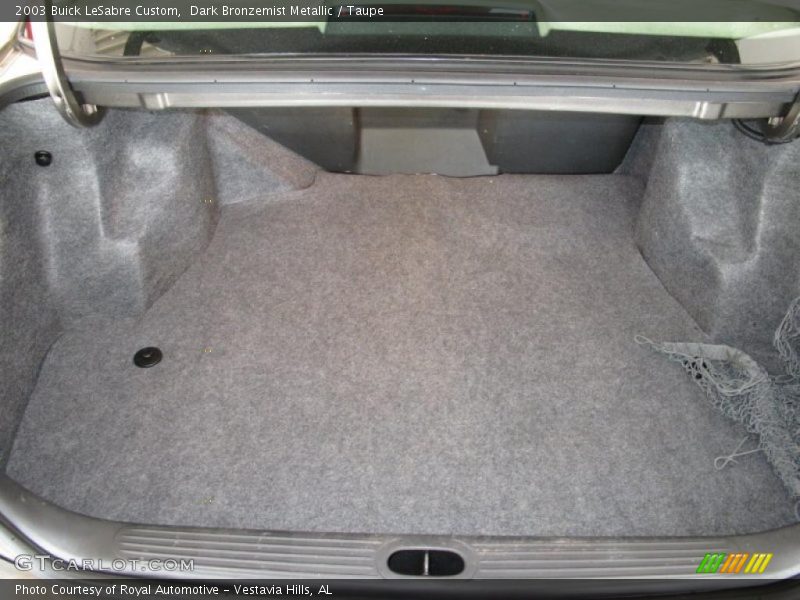 Dark Bronzemist Metallic / Taupe 2003 Buick LeSabre Custom