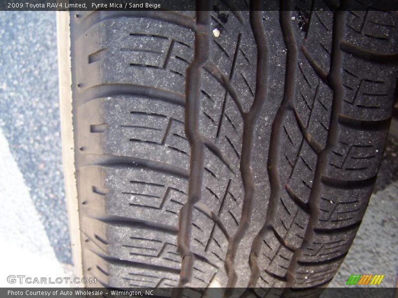 Pyrite Mica / Sand Beige 2009 Toyota RAV4 Limited