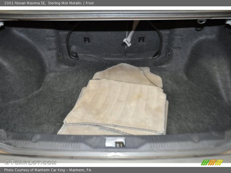 Sterling Mist Metallic / Frost 2001 Nissan Maxima SE