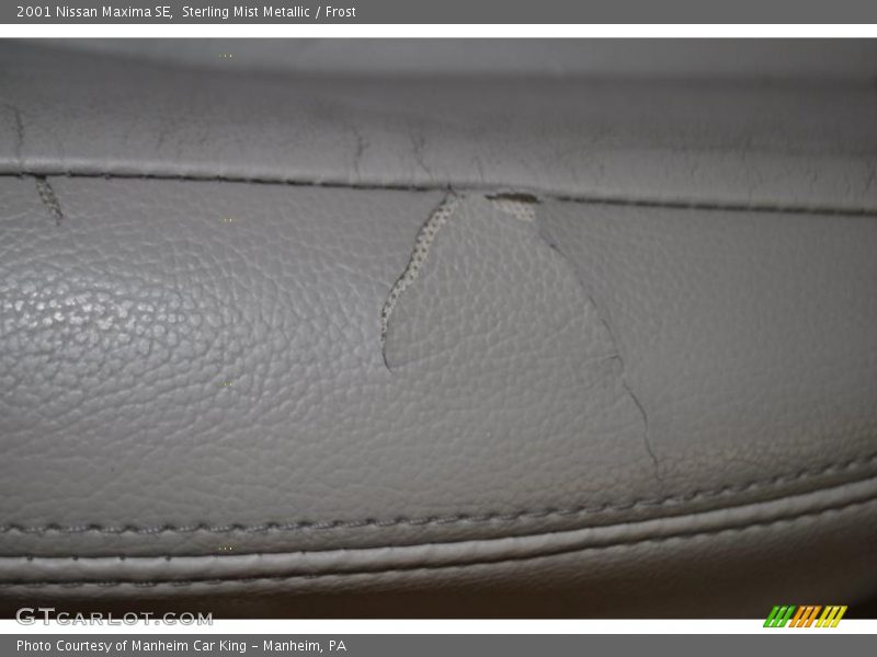 Sterling Mist Metallic / Frost 2001 Nissan Maxima SE