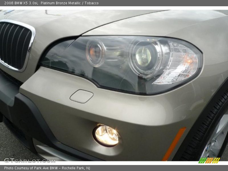 Platinum Bronze Metallic / Tobacco 2008 BMW X5 3.0si
