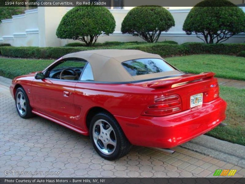 Rio Red / Saddle 1994 Ford Mustang Cobra Convertible