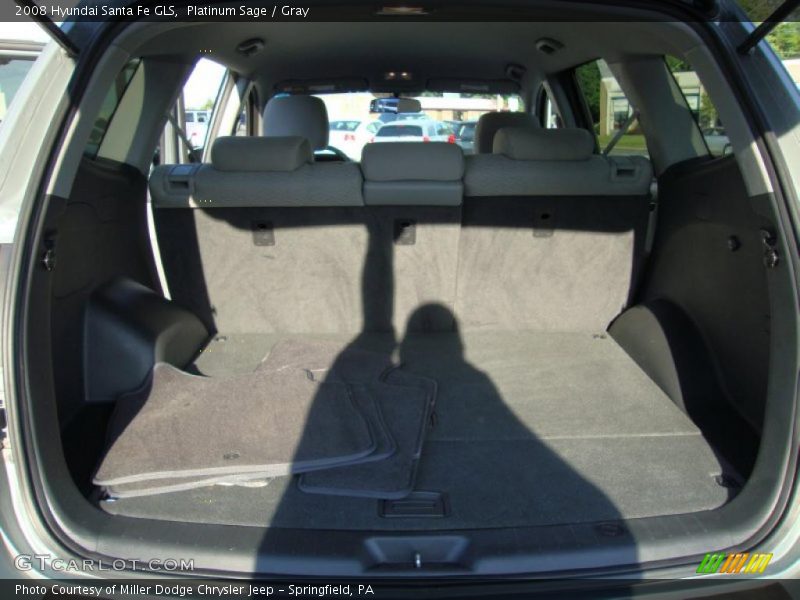 Platinum Sage / Gray 2008 Hyundai Santa Fe GLS