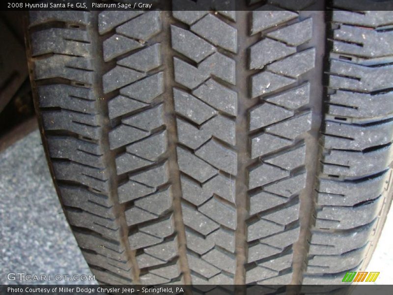 Platinum Sage / Gray 2008 Hyundai Santa Fe GLS