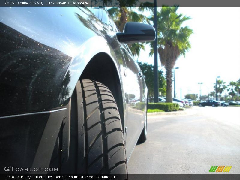 Black Raven / Cashmere 2006 Cadillac STS V8