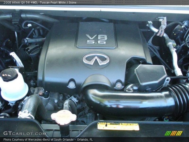 Tuscan Pearl White / Stone 2008 Infiniti QX 56 4WD