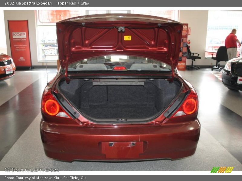 Pepper Red / Gray 2002 Kia Spectra LS Sedan