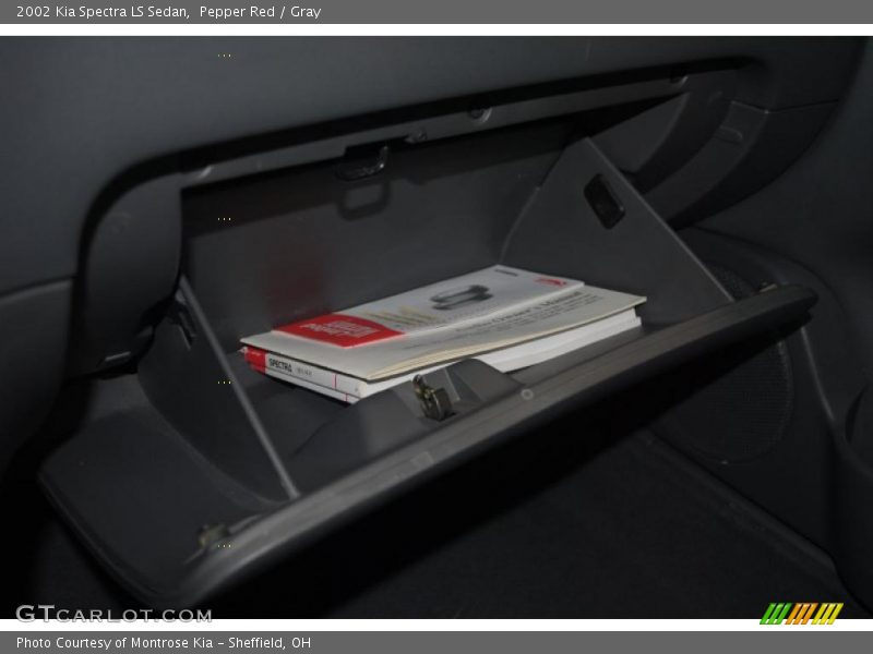Pepper Red / Gray 2002 Kia Spectra LS Sedan