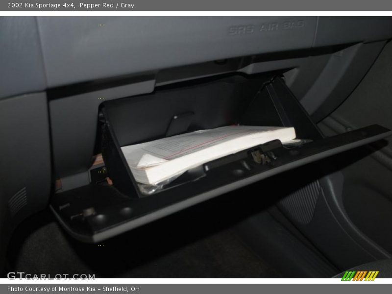 Pepper Red / Gray 2002 Kia Sportage 4x4
