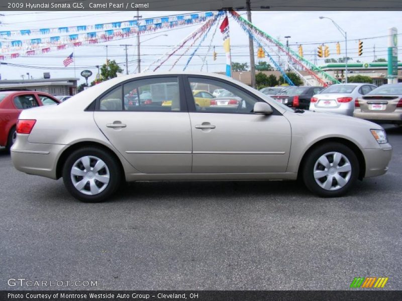 Camel Pearl / Camel 2009 Hyundai Sonata GLS