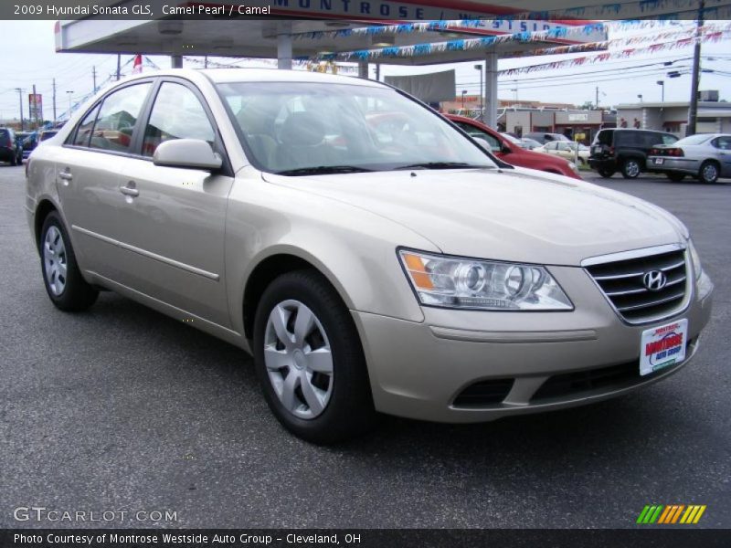 Camel Pearl / Camel 2009 Hyundai Sonata GLS