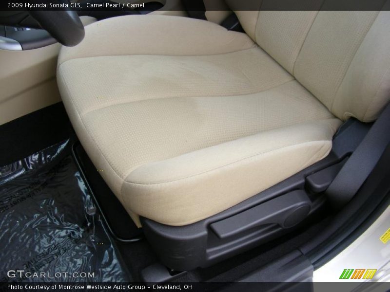 Camel Pearl / Camel 2009 Hyundai Sonata GLS