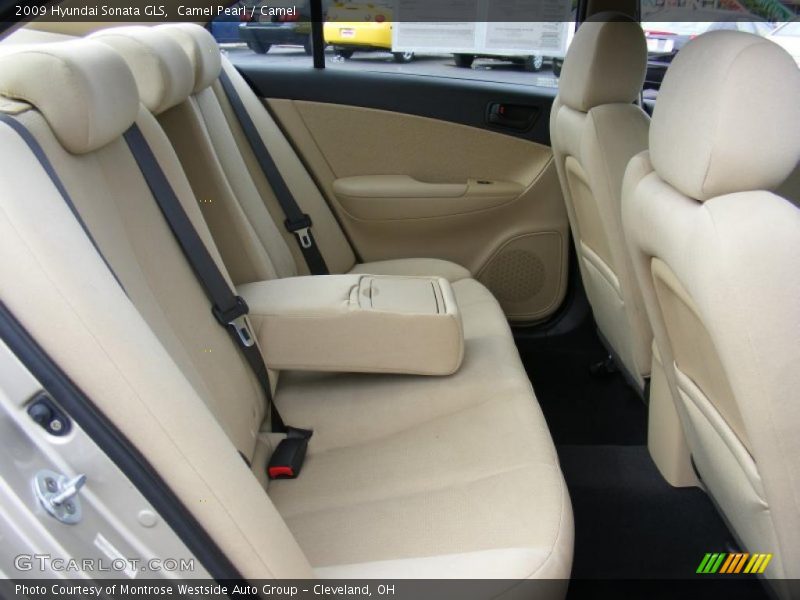 Camel Pearl / Camel 2009 Hyundai Sonata GLS