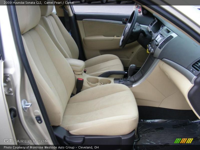 Camel Pearl / Camel 2009 Hyundai Sonata GLS