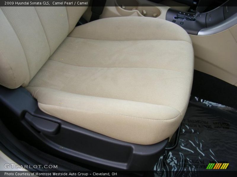 Camel Pearl / Camel 2009 Hyundai Sonata GLS