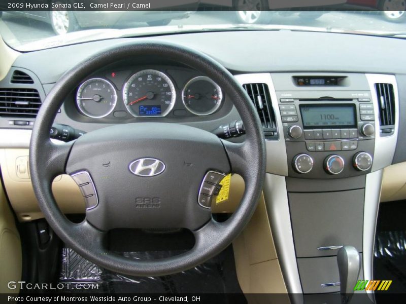 Camel Pearl / Camel 2009 Hyundai Sonata GLS