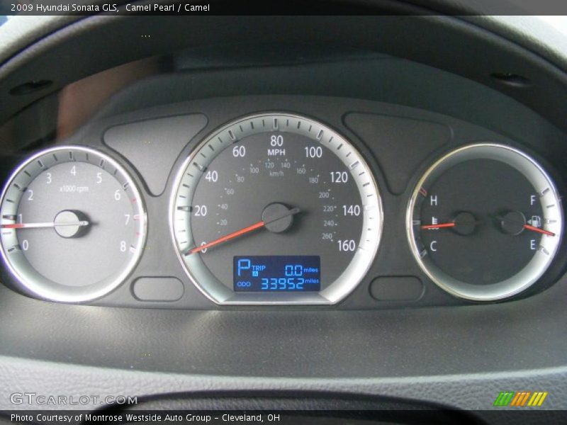 Camel Pearl / Camel 2009 Hyundai Sonata GLS