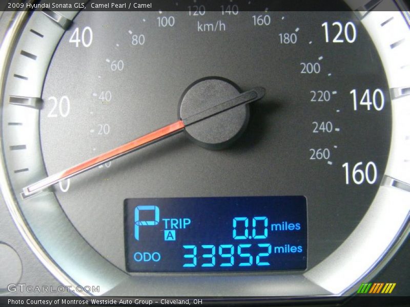 Camel Pearl / Camel 2009 Hyundai Sonata GLS