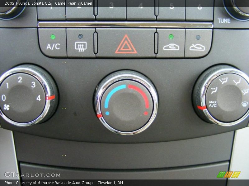 Camel Pearl / Camel 2009 Hyundai Sonata GLS