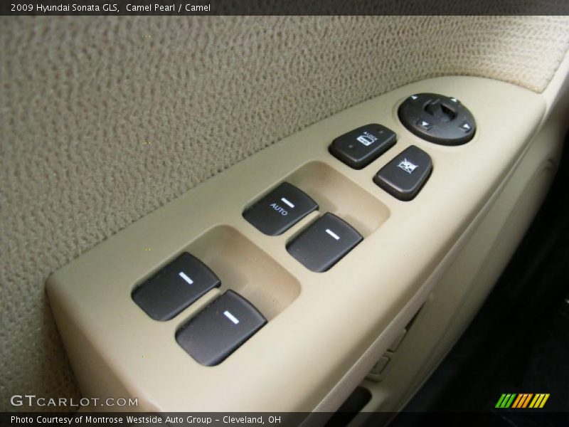 Camel Pearl / Camel 2009 Hyundai Sonata GLS