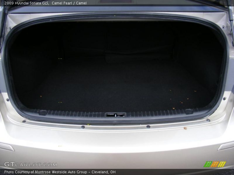 Camel Pearl / Camel 2009 Hyundai Sonata GLS