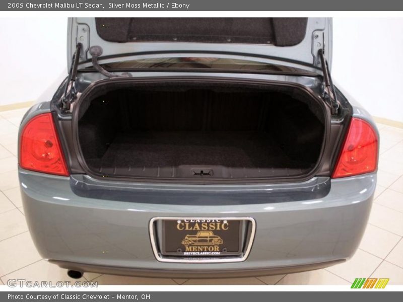 Silver Moss Metallic / Ebony 2009 Chevrolet Malibu LT Sedan