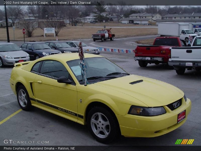 Zinc Yellow / Dark Charcoal 2002 Ford Mustang V6 Coupe