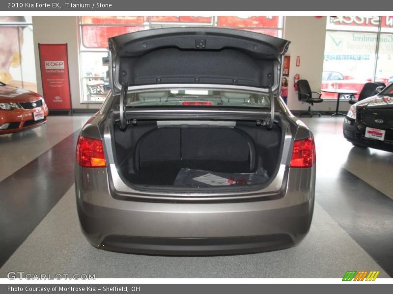 Titanium / Stone 2010 Kia Forte EX