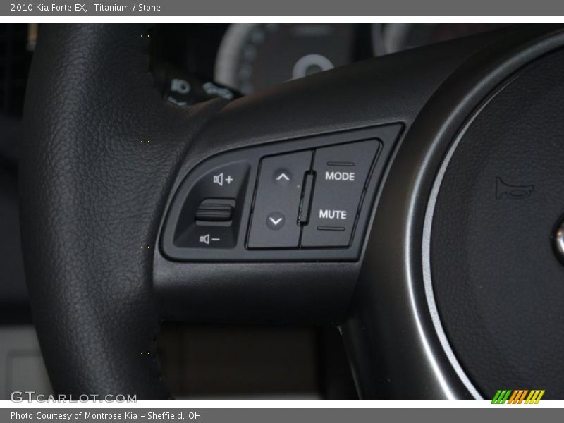 Titanium / Stone 2010 Kia Forte EX