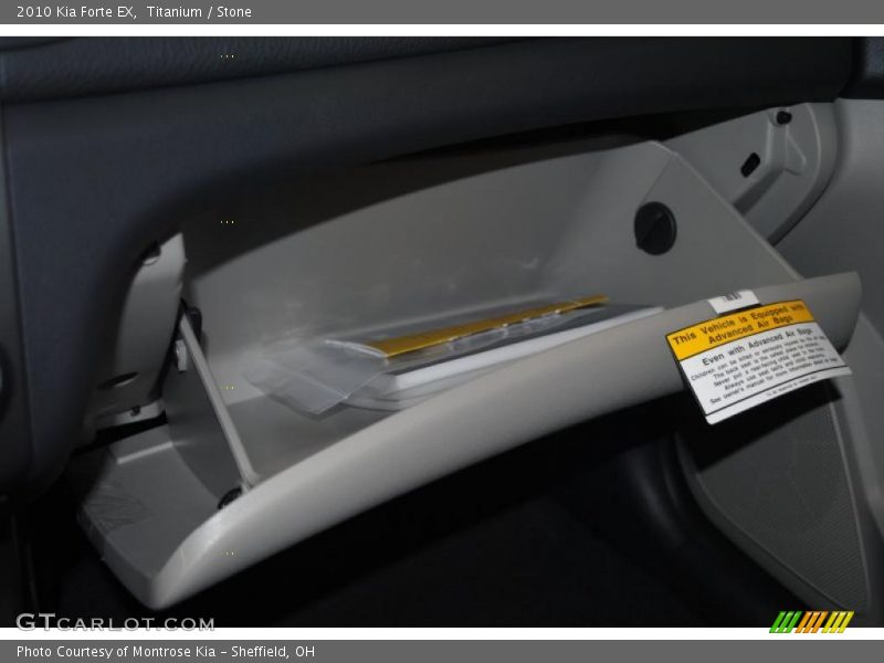 Titanium / Stone 2010 Kia Forte EX
