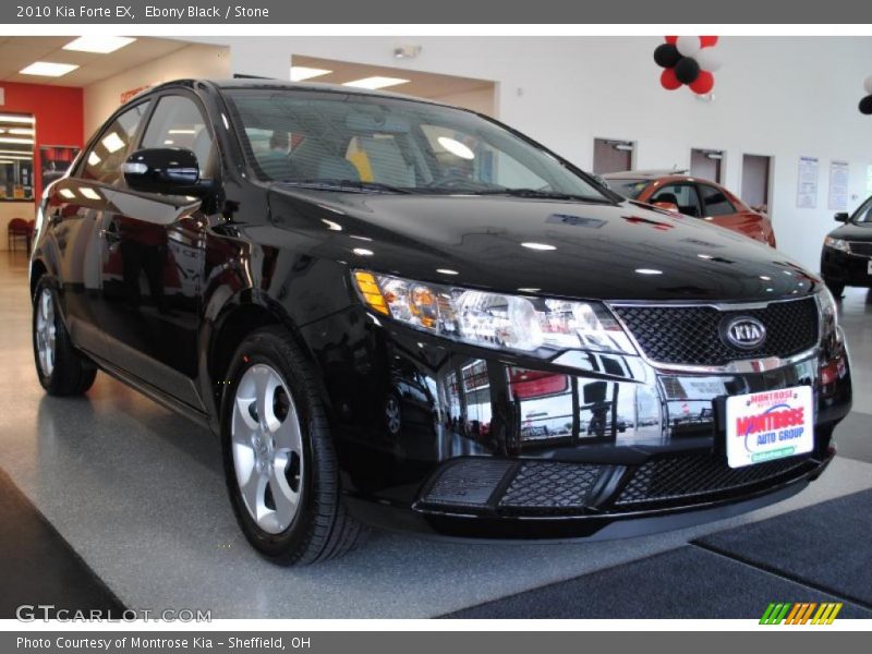 Ebony Black / Stone 2010 Kia Forte EX