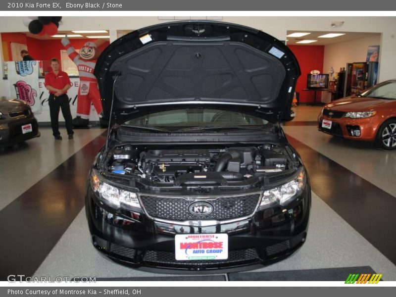 Ebony Black / Stone 2010 Kia Forte EX