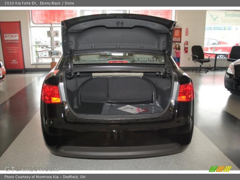 Ebony Black / Stone 2010 Kia Forte EX