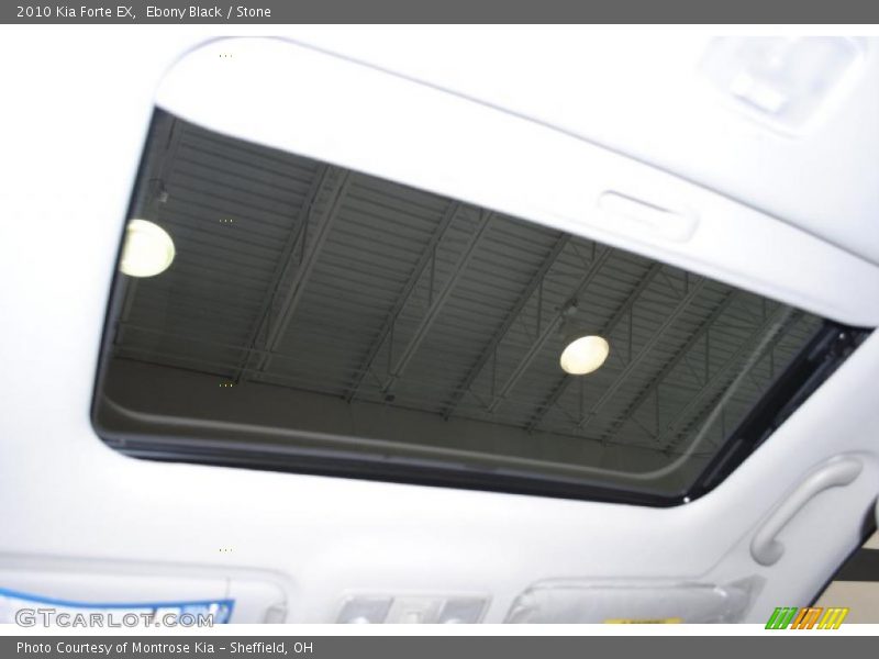 Ebony Black / Stone 2010 Kia Forte EX