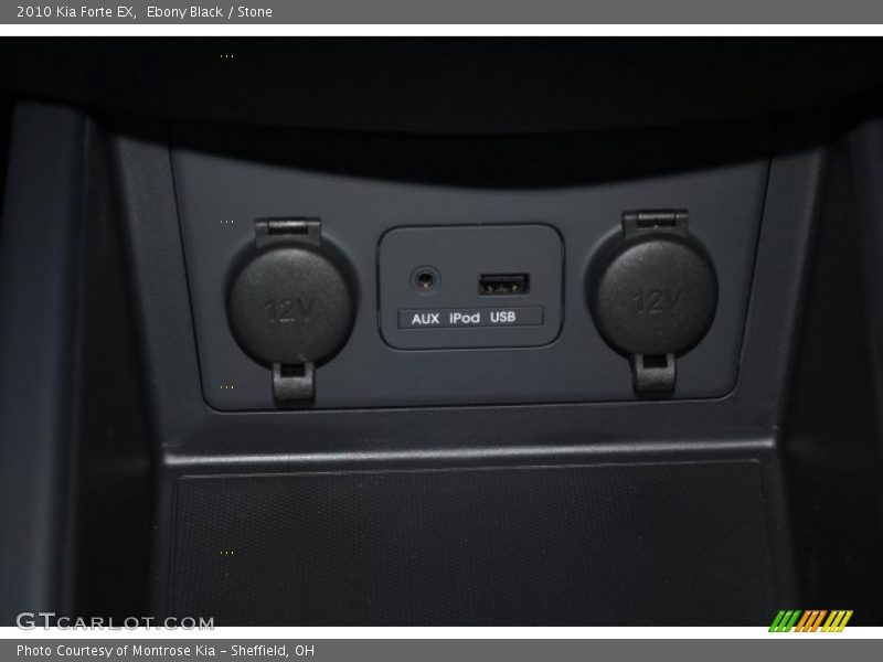 Ebony Black / Stone 2010 Kia Forte EX
