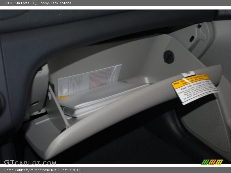 Ebony Black / Stone 2010 Kia Forte EX