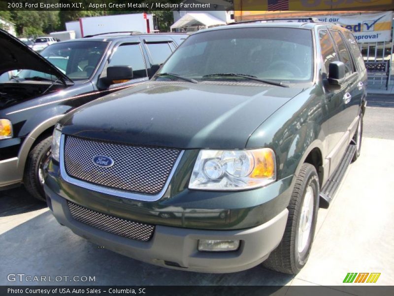 Aspen Green Metallic / Medium Parchment 2003 Ford Expedition XLT