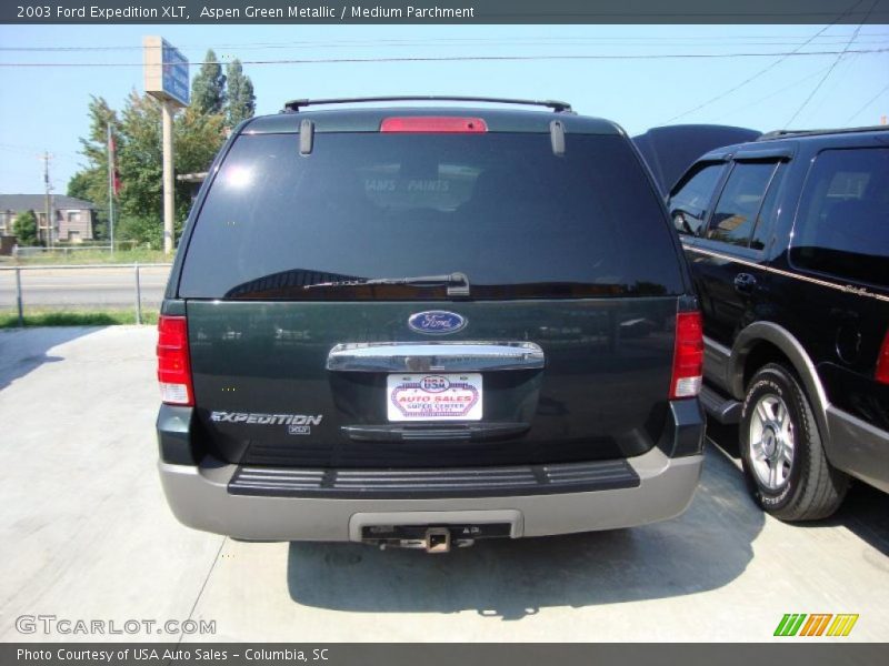 Aspen Green Metallic / Medium Parchment 2003 Ford Expedition XLT