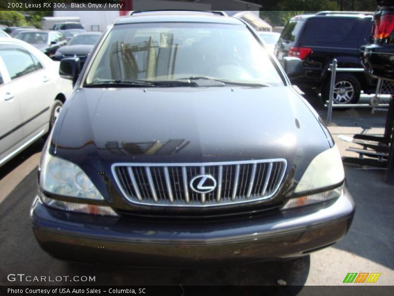 Black Onyx / Ivory 2002 Lexus RX 300