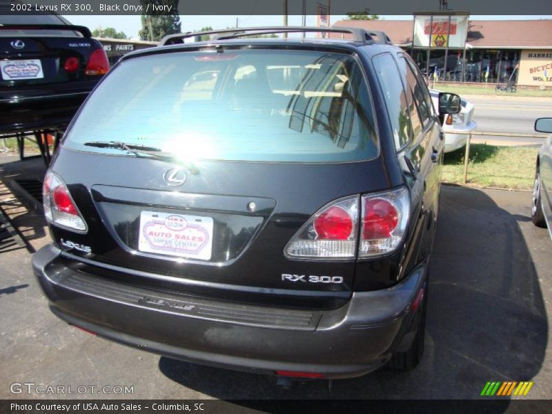 Black Onyx / Ivory 2002 Lexus RX 300