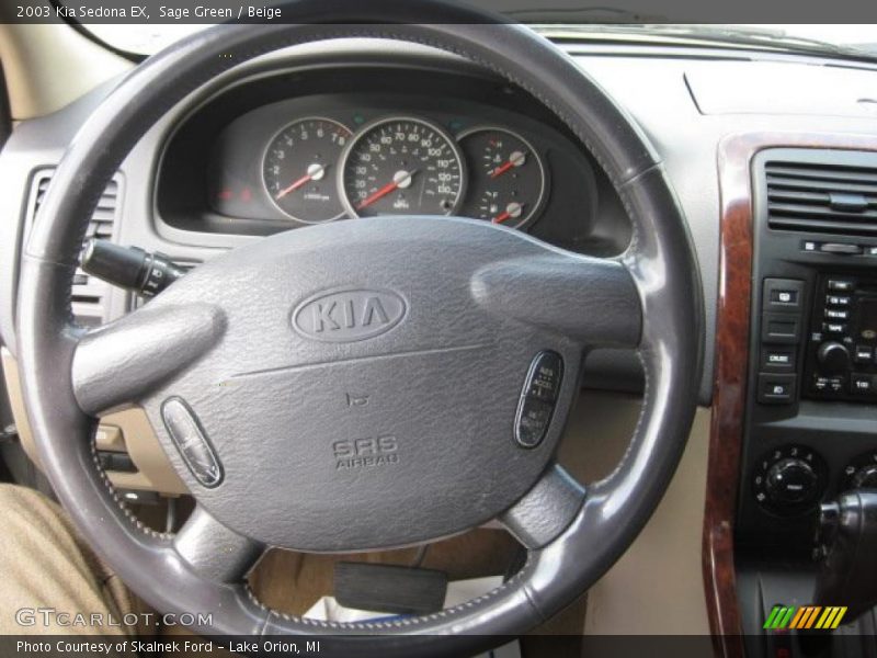 Sage Green / Beige 2003 Kia Sedona EX