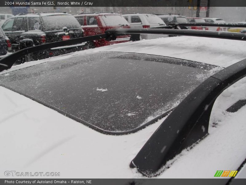 Nordic White / Gray 2004 Hyundai Santa Fe GLS