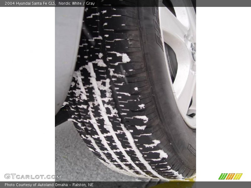 Nordic White / Gray 2004 Hyundai Santa Fe GLS